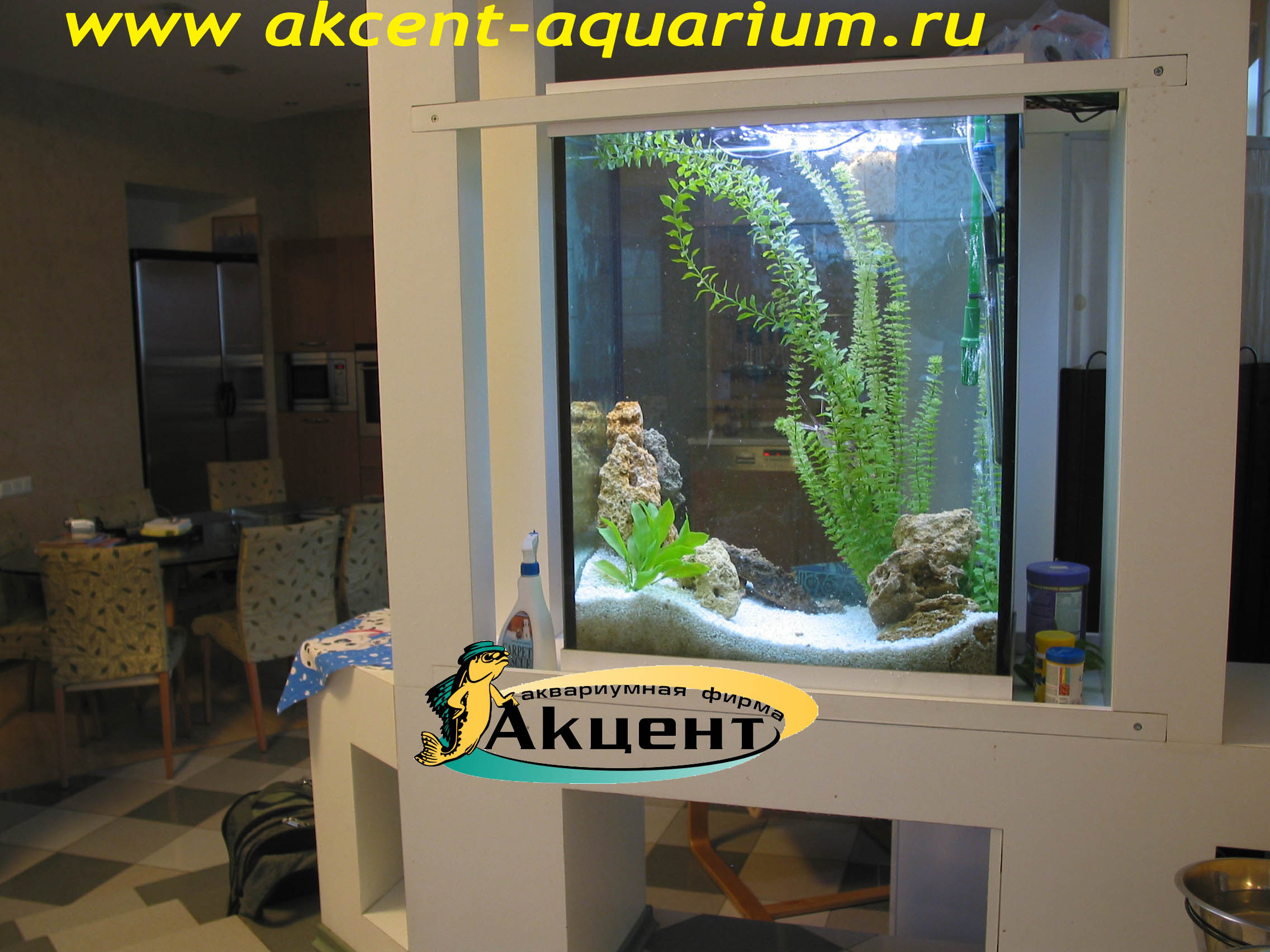 Акцент-Аквариум, аквариум 250 литров просмотровый, вид со стороны комнаты